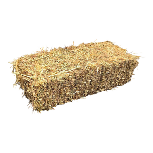 Heno De Avena 20 A 24kg Para Conejo, Cuyo, Chinchilla