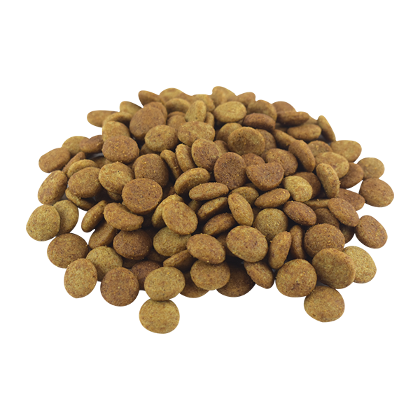 PERFECT SENSE ADULTO RAZA MEDIANA & GRANDE 15 KG