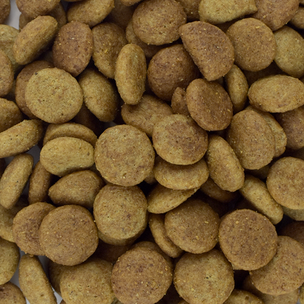 PERFECT SENSE ADULTO RAZA MEDIANA & GRANDE 15 KG