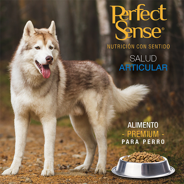 PERFECT SENSE ADULTO RAZA MEDIANA & GRANDE 15 KG